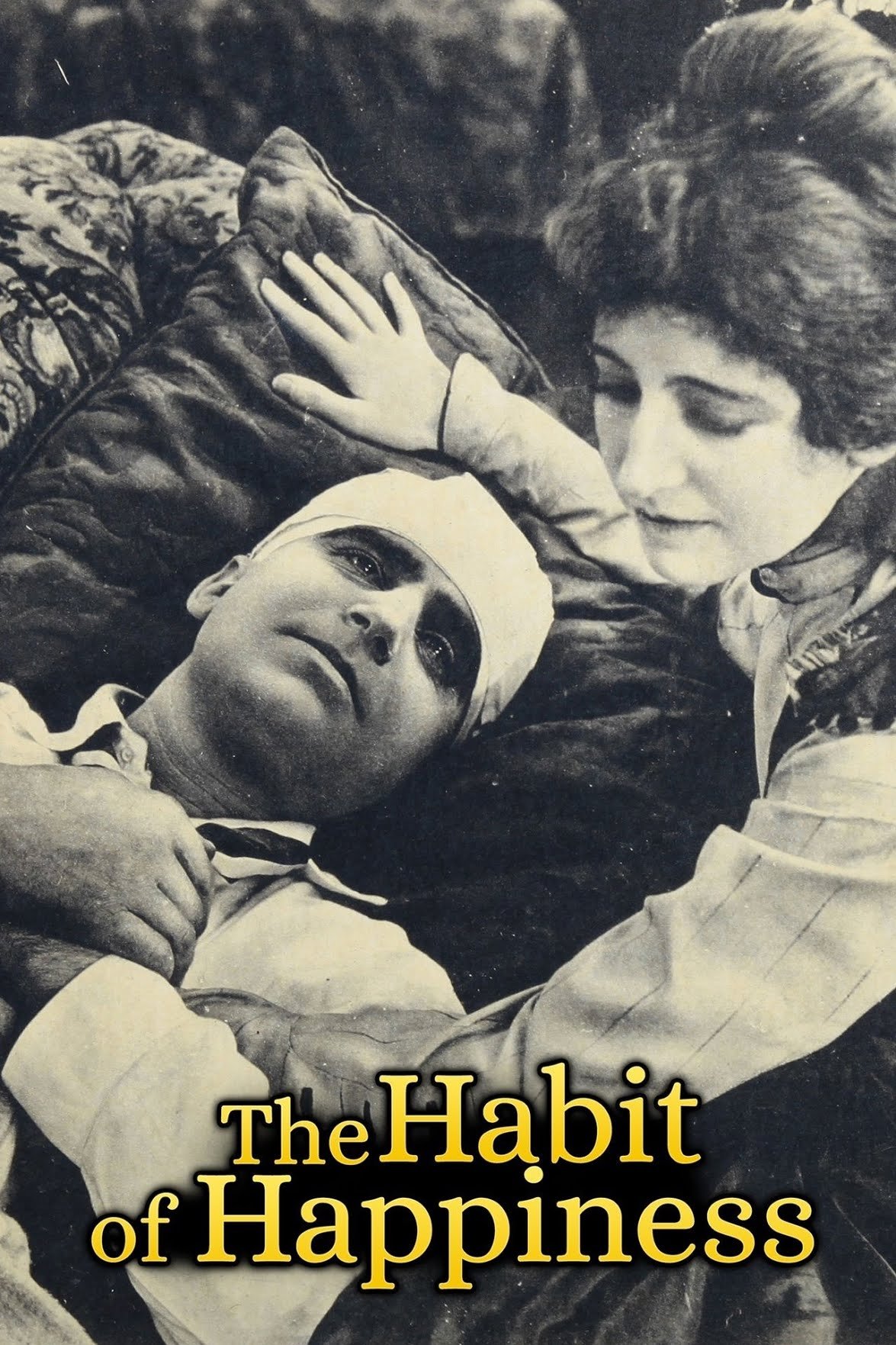 Постер The Habit of Happiness